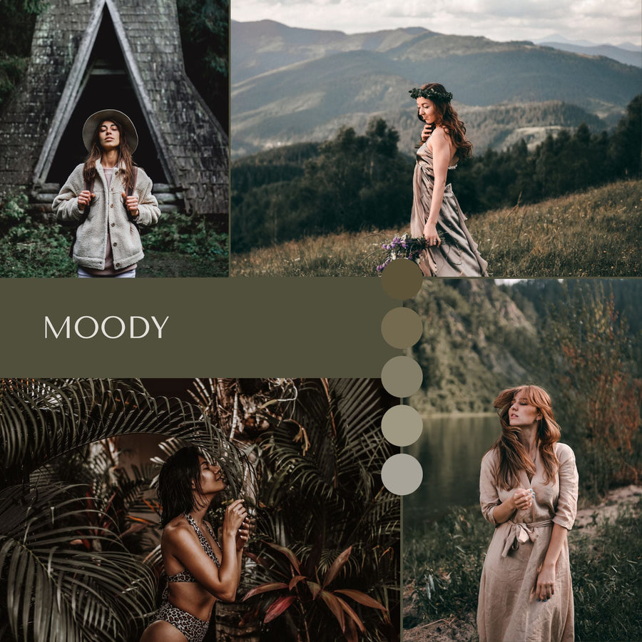 Master Collection Presets Bundle + Free Gift: Influencer Pro Kit+ (Ultimate Resource Library) -  from Flourish Presets - Just $67! Shop now at Flourish Presets.