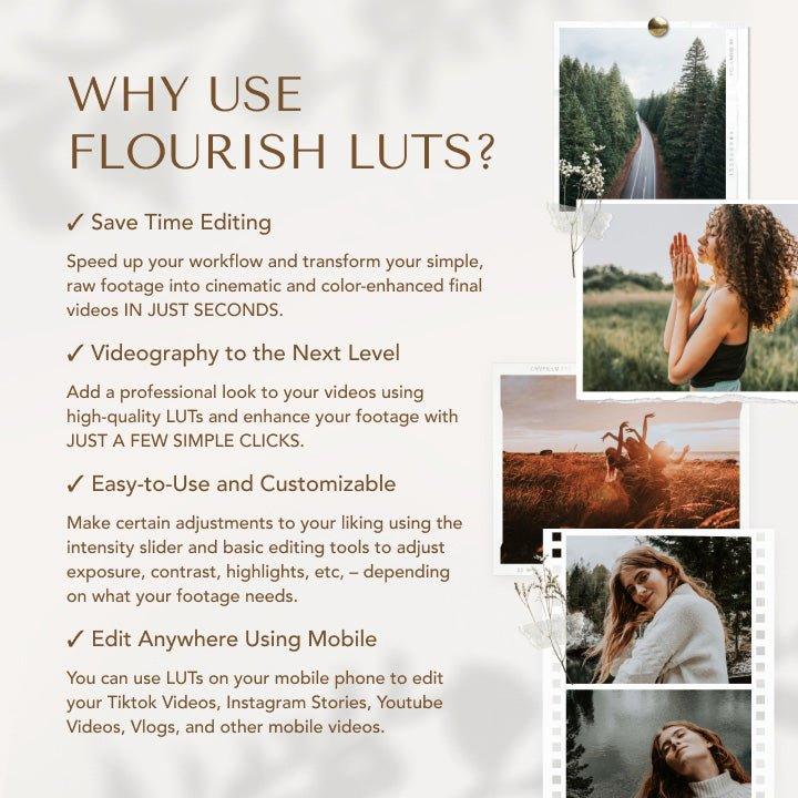 Earthy Tones LUTs - Video LUTs from Flourish Presets: Lightroom Presets & LUTs - Just $15! Shop now at Flourish Presets.